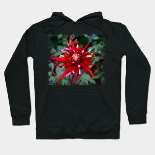 Spiky Red Dahlia Hoodie